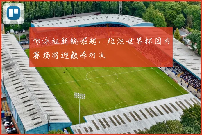 仰泳组新锐崛起，短池世界杯国内赛场将迎巅峰对决