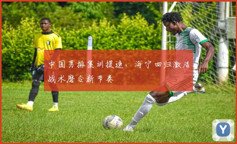 中国男排集训提速，海宁回归激活战术磨合新节奏